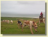 The Isle of Wight Foxhounds